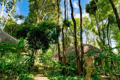 a path through a forest with trees and a sign at Koh Yao Yai Village in Ko Yao Yai