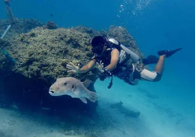 a woman taking a picture of a fish in the water at Racha Island Resort (Rayaburi) in Ko Racha Yai