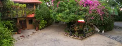 an overhead view of a garden in front of a building at Tropica Bungalow Beach Hotel in Patong Beach