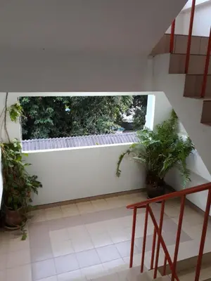 a room with potted plants on a white wall at Rawai Condotel 3 in Rawai Beach
