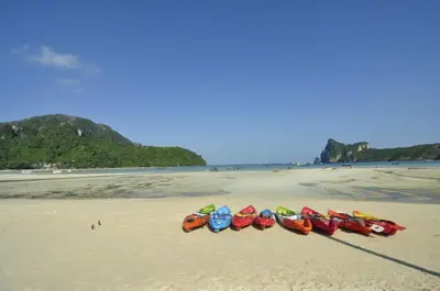 a row of kayaks lined up on a beach at Twin Palms Hostel Phi Phi in Phi Phi Don
