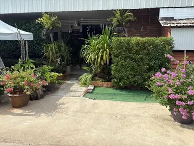 a garden with plants and flowers in pots at Krabi Nemo House in Ao Nang Beach