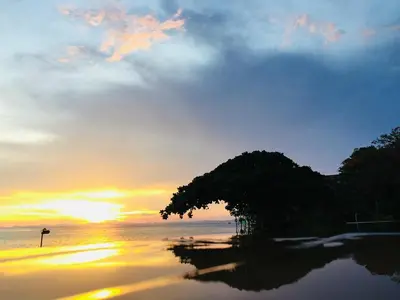 a tree on the beach with the sunset in the background at Phi Phi View Point Resort in Phi Phi Don