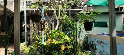 a garden with a bunch of plants next to a pool at Baan Asree homestayบ้านอัสรี in Ao Nang Beach