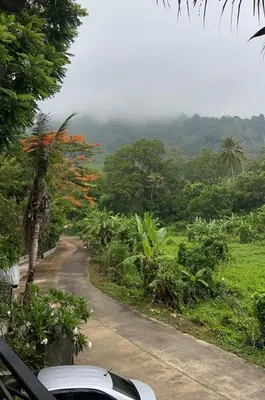 a car parked on a road in a forest at Phuchada Residence in Nai Yang Beach