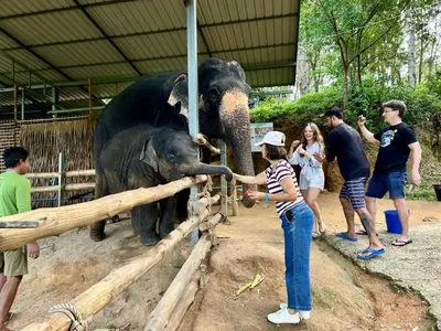 a woman touching the trunk of an elephant at Phuchada Residence in Nai Yang Beach
