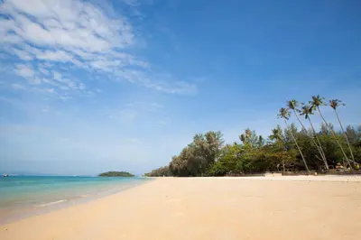 a sandy beach with palm trees and the ocean at Baan Phukhao in Klong Muang Beach