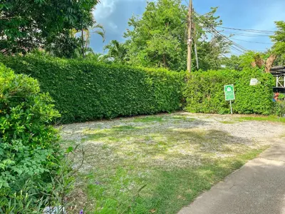 a hedge with a sign in front of a yard at BaanMee Phuket near Chalong Pier in Chalong