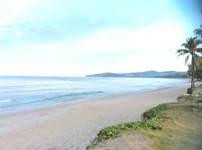a beach with palm trees and the ocean at T House in Bang Tao Beach