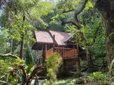 a tree house in the middle of the forest at Sabai Corner Bungalows - SHA Extra Plus in Ko Yao Noi