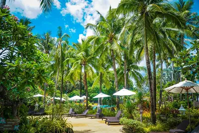 a resort with palm trees and chairs and umbrellas at Thavorn Palm Beach Resort Phuket in Karon Beach