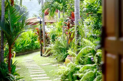 a garden with many plants and a walkway at Family Bungalow Kamala in Kamala Beach