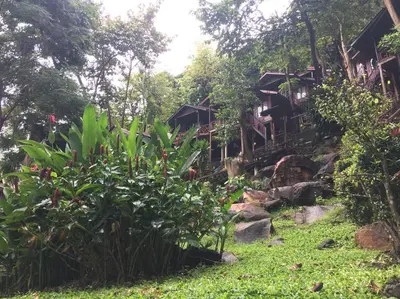 a group of houses on a hill with plants at Phi Phi Green Hill Resort in Phi Phi Don