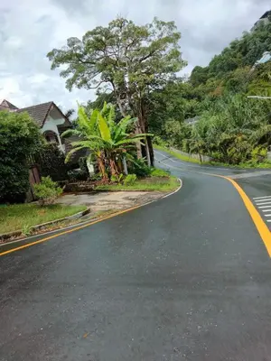 a winding road with a house and trees on the side at mom's home in Phuket Town
