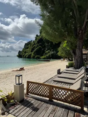 a beach with chairs and a tree and the ocean at Mama Beach Residence - Adults Only in Phi Phi Don
