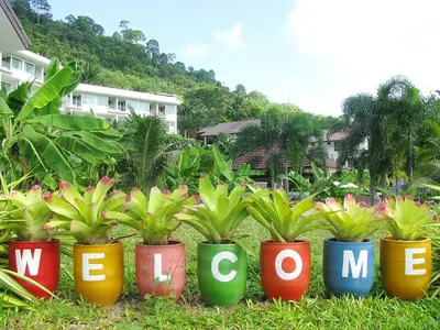 a group of plants in colorful pots in the grass at PS Hill Resort Phuket Patong - SHA Plus in Patong Beach