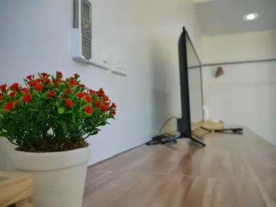a room with a potted plant and a television at Marisa Garden Bungalow in Bang Tao Beach