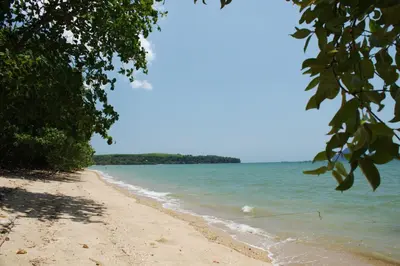 a view of a beach with trees and the ocean at Melina Beach Front Bungalows in Tha Lane Bay