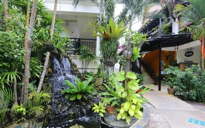 a garden with a waterfall and many plants at Deevana Patong Resort & Spa in Patong Beach