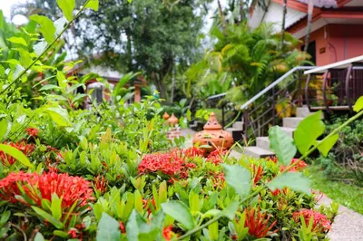 a garden with red flowers and a fire hydrant at Andaman Seaside Resort Bangtao Beach in Bang Tao Beach