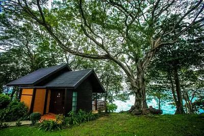 a small cabin with a tree next to the water at Phi Phi Natural Resort in Phi Phi Don