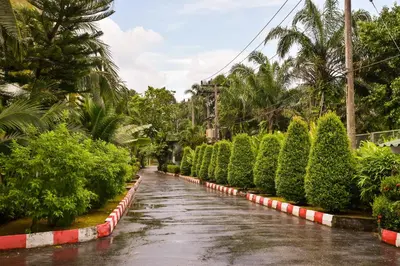 a rain soaked street with trees and bushes at MW Krabi Beach Resort - Ao Nang - SHA Extra Plus in Ao Nang Beach