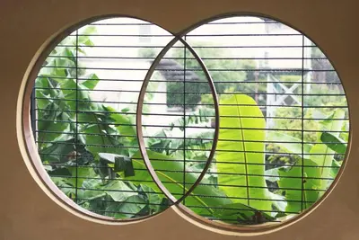a round window with a monkey in the background at 2ROOMS Boutique House in Phuket Town