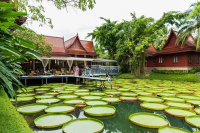 a garden with lilies in the water in front of a building at Ma Doo Bua Stay - SHA Extra Plus in Thalang