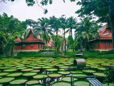 a large pond filled with lilies in front of buildings at Ma Doo Bua Stay - SHA Extra Plus in Thalang