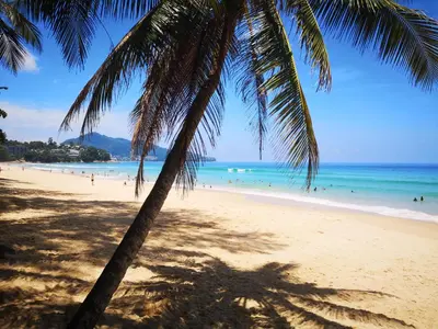 a palm tree on a beach with people in the water at MA MAISON BOUTIQUE HOTEL. in PHUKET in Bang Tao Beach