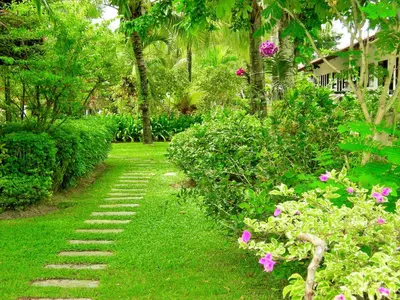 a garden with a path with flowers and trees at The Golddiggers Resort in Nai Yang Beach
