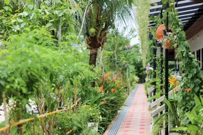 a garden with many plants and a brick pathway at The Golddiggers Resort in Nai Yang Beach