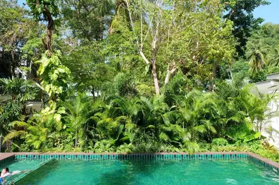 a swimming pool in the middle of a forest of trees at Whalecome Aonang Resort-SHA Extra Plus in Ao Nang Beach