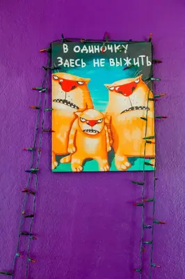 two cats on a book on a purple wall at Klong Muang Sunset House in Klong Muang Beach