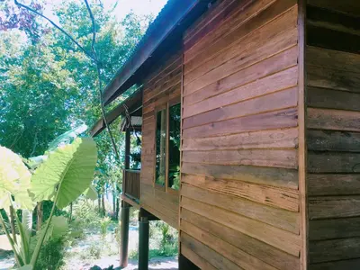 a wooden house in the middle of a forest at Tha Khao Bay View Bungalow in Ko Yao Noi