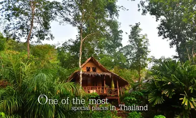 a small house in the middle of a forest at Tha Khao Bay View Bungalow in Ko Yao Noi