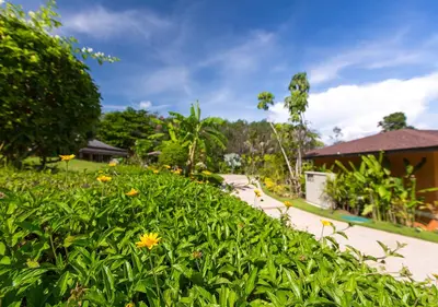 a garden with yellow flowers and a road at Bungalow VILLA Rumba in Ko Yao Noi