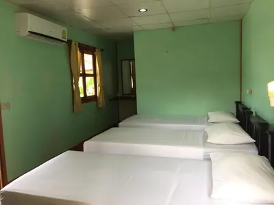 three beds in a room with green walls and a window at Golden Hill Guesthouse in Phi Phi Don