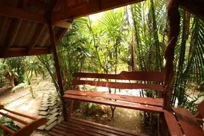 a wooden bench in the middle of a forest at Aonang Lake Side in Ao Nang Beach