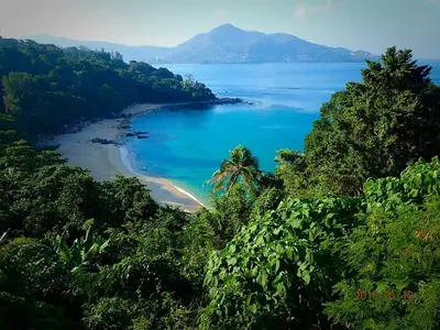 a view of a beach with trees and the ocean at KD Residence in Bang Tao Beach