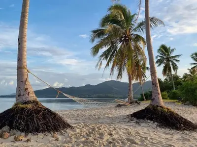 two palm trees and a hammock on a beach at Backpack Hostel Kohyaoyai in Ko Yao Yai
