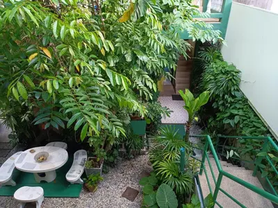 a garden with a table and a bunch of plants at Phuket Green Home in Karon Beach