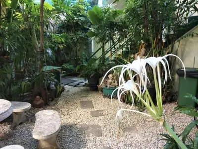 a garden with rocks and plants and benches at Phuket Green Home in Karon Beach
