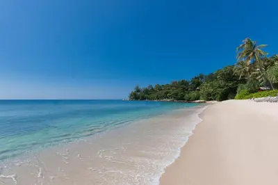 a beach with palm trees and the ocean at Trisara Villas & Residences Phuket in Nai Thon Beach
