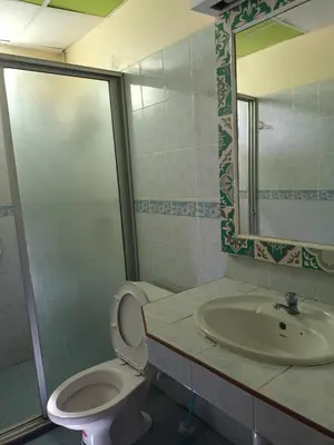 a bathroom with a toilet and a sink and a mirror at Patong Rose Guest House 50m to Beach in Patong Beach