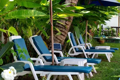 a group of lawn chairs sitting in the grass at Tea Tree Boutique Resort in Rawai Beach