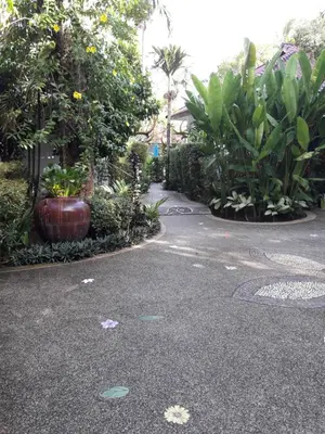 a winding road with trees and plants in a park at Cocoville Phuket - SHA Plus in Chalong