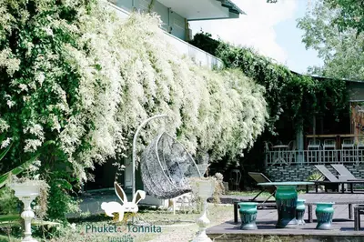 a garden with a large tree with white flowers at Phuket Nonnita Boutique Resort - SHA Plus in Phuket Town