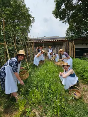 a group of women standing in the grass at Phuket Nonnita Boutique Resort - SHA Plus in Phuket Town