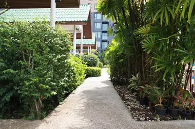 a path through a garden with plants and a building at Surin House in Surin Beach